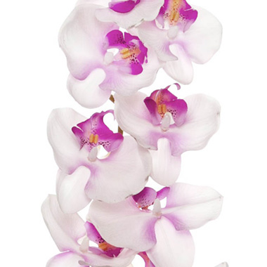 Phalaenopsis Orchid Real Touch 8 Flowers Pink (97cmH)