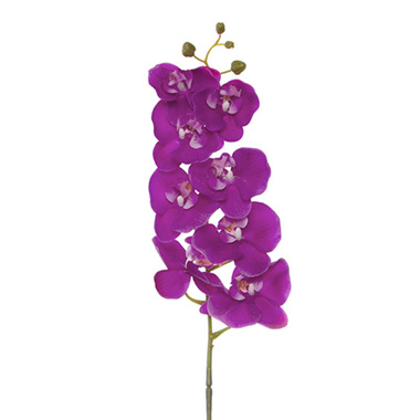  - Phalaenopsis Orchid Real Touch 8 Flowers Purple (97cmH)