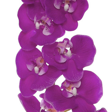 Phalaenopsis Orchid Real Touch 8 Flowers Purple (97cmH)