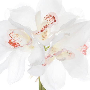 Cymbidium Orchid Bouquet Real Touch 6 Flowers White (25cmH)