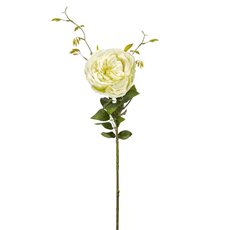 Artificial Roses - English Rose Spray Cream (76cmH)