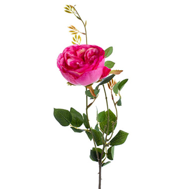 Artificial Roses - English Rose Spray Fuchsia (76cmH)