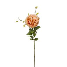 Artificial Roses - English Rose Spray Peach (76cmH)