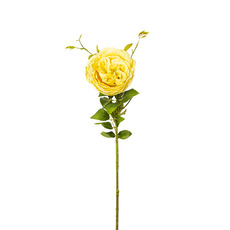 Artificial Roses - English Rose Spray Yellow (76cmH)