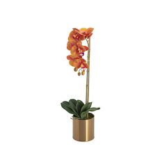 Artificial Orchids - Artificial Orchid Pot Plant Single Stem Coral (60cmH)