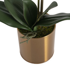 Artificial Orchid Pot Plant Single Stem Coral (60cmH)