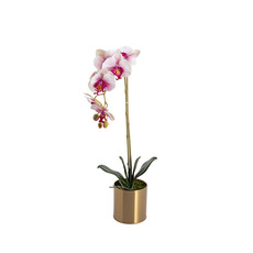 Artificial Orchids - Artificial Orchid Pot Plant Single Stem White Pink (60cmH)