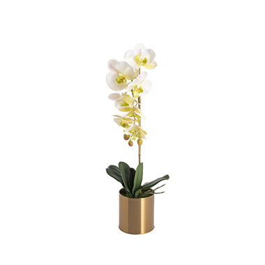Artificial Orchids - Artificial Orchid Pot Plant Single Stem White (60cmH)
