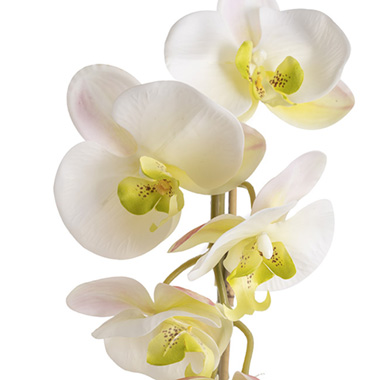 Artificial Orchid Pot Plant Single Stem White (60cmH)