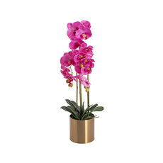 Artificial Orchid Pot Plant 3 Stem Fuchsia (70cmH)
