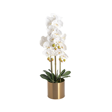 Artificial Orchid Pot Plant 3 Stem White (70cmH)