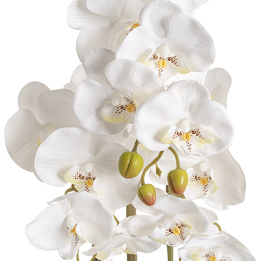 Artificial Orchid Pot Plant 3 Stem White (70cmH)