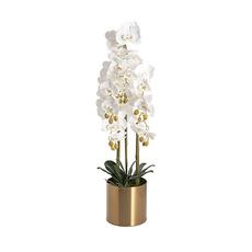 Artificial Orchids - Artificial Orchid Pot Plant 5 Stem White (88cmH)