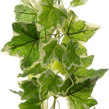 Ivy Garland Real Touch Variegated Green (180cmL)