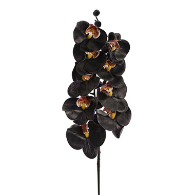 Real Touch Orchids - Phalaenopsis Orchid 3D Real Touch x9 Head Black (98cmH)