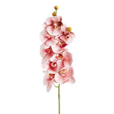 Real Touch Orchids - Phalaenopsis Orchid 3D Real Touch x9 Head Dusty Pink (98cmH)
