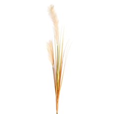 Artificial Dried Leaves - Pampas Grass Spray Champagne (137cm)