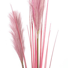 Pampas Grass Spray Dusty Pink (137cm)
