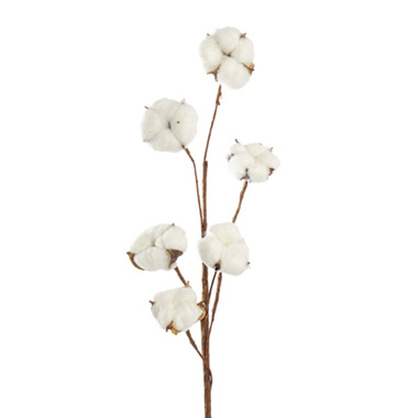 Cotton Branch 6 Heads White (Head Size 5cm x 85cmH)