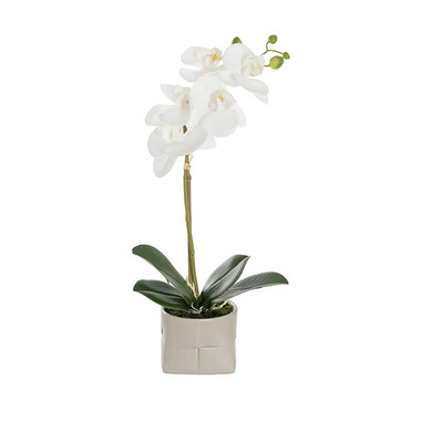 Real Touch Potted Orchid - Real Touch Phalaenopsis Orchid Single Stem Pot White (45cmH)