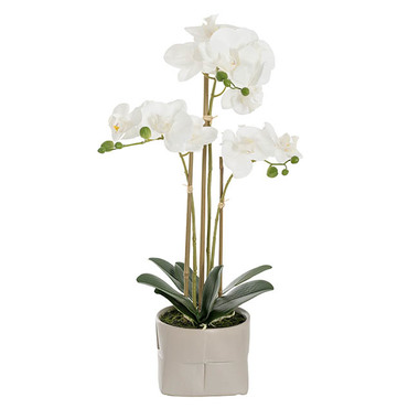 Real Touch Potted Orchid - Real Touch Phalaenopsis Orchid 3 Stem Pot Plant White(56cmH)