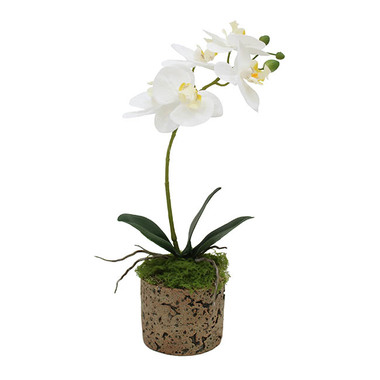 Real Touch Potted Orchid - Real Touch Phalaenopsis Orchid in Ceramic Pot White (41cmH)