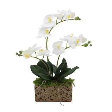 Real Touch Potted Orchid - Real Touch Phalaenopsis Orchid 3 Stem Pot Plant White(43cmH)