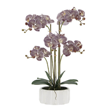 Real Touch Potted Orchid - Real Touch Phalaenopsis Orchid 5 Stem Potted Purple (59cmH)