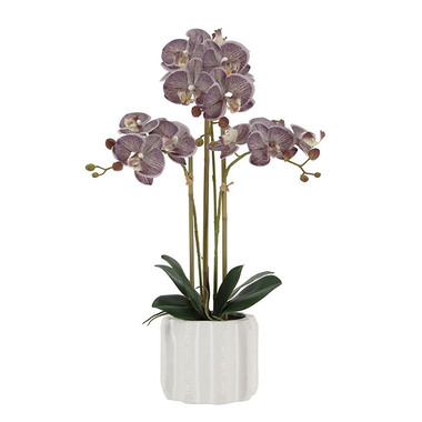Real Touch Potted Orchid - Real Touch Phalaenopsis Orchid 3 Stem Potted Purple (54cmH)