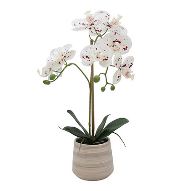 Real Touch Potted Orchid - Real Touch Single Phalaenopsis Orchid Potted White (51cmH)