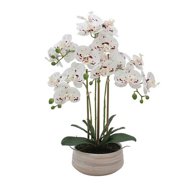 Real Touch Potted Orchid - Real Touch Phalaenopsis Orchid 3 Stem Potted White (59cmH)