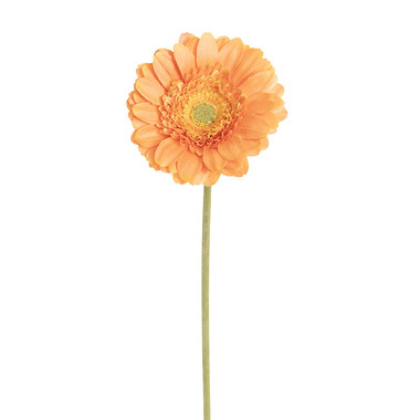 Artificial Gerberas - Gerbera Revolution Stem Apricot (13cmDx65cmH)