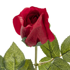 Artificial Roses - Siena Real Touch Mini Rose Bud Red (54cmH)