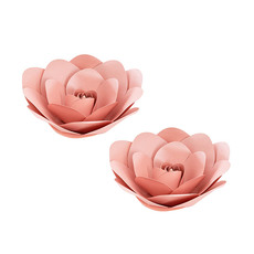 Flower Heads - Rose Paper Wall Flower Pack 2 Blush Pink (30cmD)