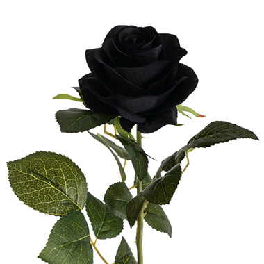 Artificial Roses - Valentina Silk Open Rose Black (65cmH)