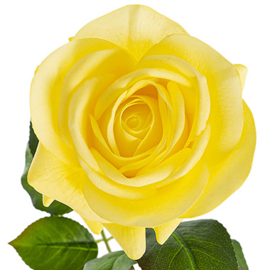 - Real Touch Bella Rose Full Bloom Lge Yellow (12cmDx65cmH)