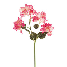 Other Artificial Flowers - Bougainvillea Spray Hot Pink (70cmH)