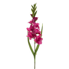 Other Artificial Flowers - Gladiolus x 8 Head Long Stem Fuchsia (93cmH)