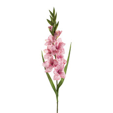 Other Artificial Flowers - Gladiolus x 11 Head Long Stem Soft Pink (93cmH)