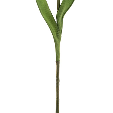 Gladiolus x 8 Head Long Stem Soft Pink (93cmH)