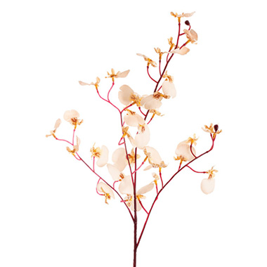Artificial Orchids - Dancing Lady Orchid Burgundy & Off White (81cmH)