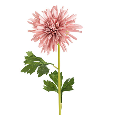 Other Artificial Flowers - Chrysanthemum Symphony Stem Blush Pink (12cmDx65cmH)
