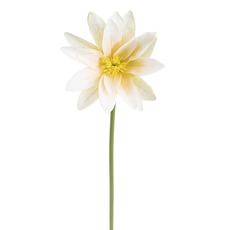 Lotus Full Bloom Flower Soft Olive & White (23cmDx80cmH)