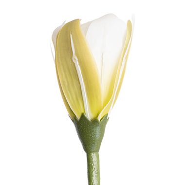 Lotus Full Bloom Flower Soft Olive & White (23cmDx80cmH)