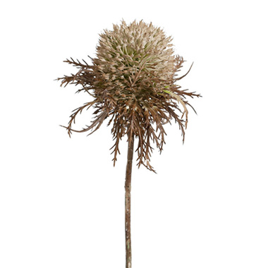 Artificial Dried Flowers - Fullers Teasel Stem Beige (33cmH)