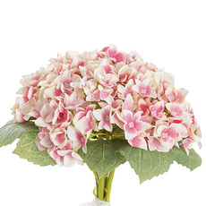 Mini Hydrangea Elizabeth Bouquet Hot Pink (32cmH)