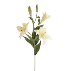 Artificial Lilies - Artificial Large Tiger Lily 5 Head Vanilla Cream (99cmH)