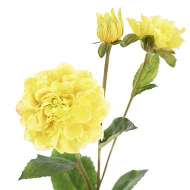 Barla Zinnia Spray Soft Yellow (67cmH)