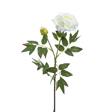 Artificial Peonies - Evelyn Peony Spray White (70cmH)