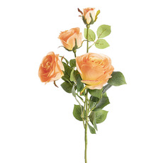 Artificial Roses - Gardenia Rose Spray Soft Apricot (78cmH)